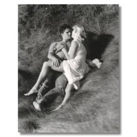 ΖΕΥΓΑΡΙ - 40x50 cm