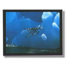 ΤΟΠΙΟ - 40x50 cm