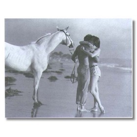 ΖΕΥΓΑΡΙ - 56x71 cm