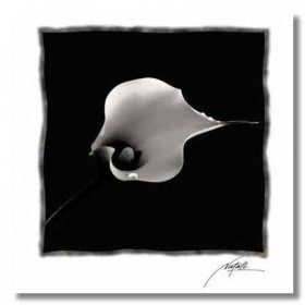 ΛΟΥΛΟΥΔΙ - 20x25 cm