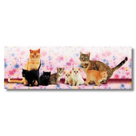 ΓΑΤΑΚΙΑ - 53x158 cm