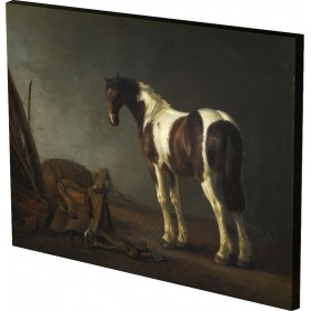 Abraham van Calraet - A Horse 