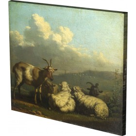 Karel Dujardin - Sheep and Goa