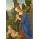 Lorenzo di Credi - The Virgin 